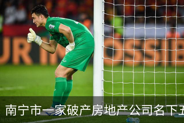南宁市一家破产房地产公司名下五千多万应收款拍卖，1100万成交